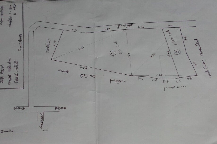 ചപ്പാരപടവ്  50 സെൻറ്  സ്ഥലം വില്പനയ്ക്-3