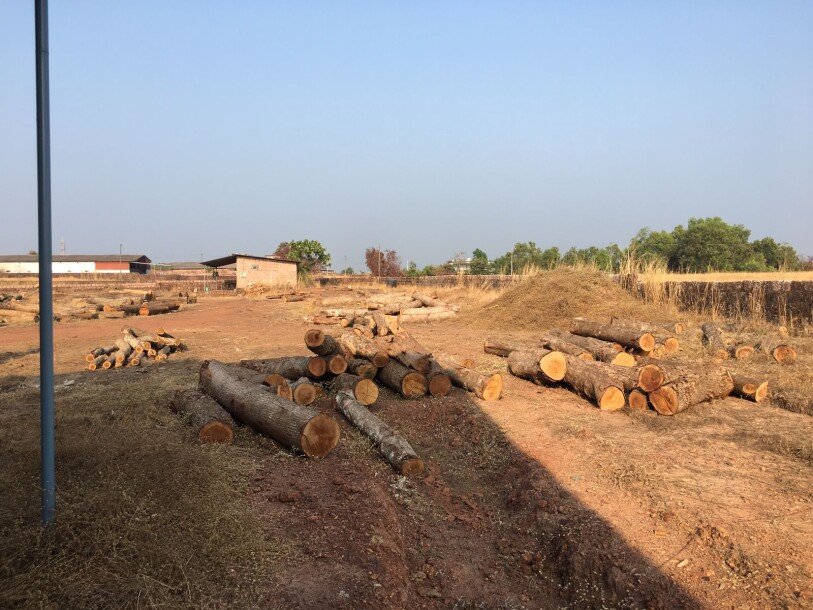 നീലേശ്വരം മര കമ്പനി വില്പനയ്ക്ക് (WOOD SAW MILL)-10