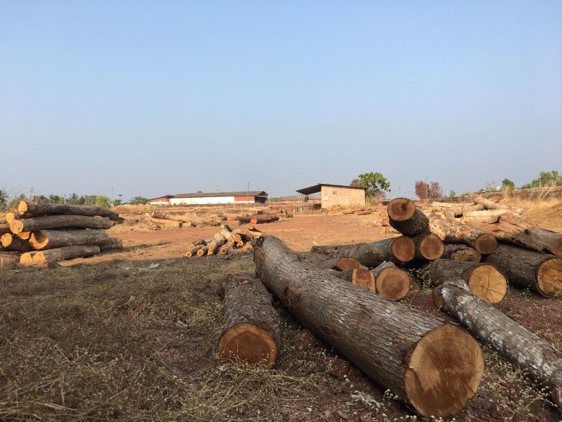 നീലേശ്വരം മര കമ്പനി വില്പനയ്ക്ക് (WOOD SAW MILL)-12