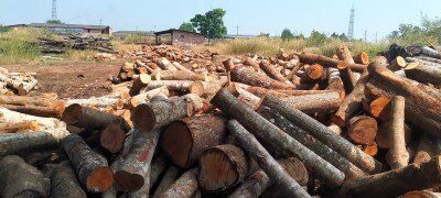 നീലേശ്വരം മര കമ്പനി വില്പനയ്ക്ക് (WOOD SAW MILL)