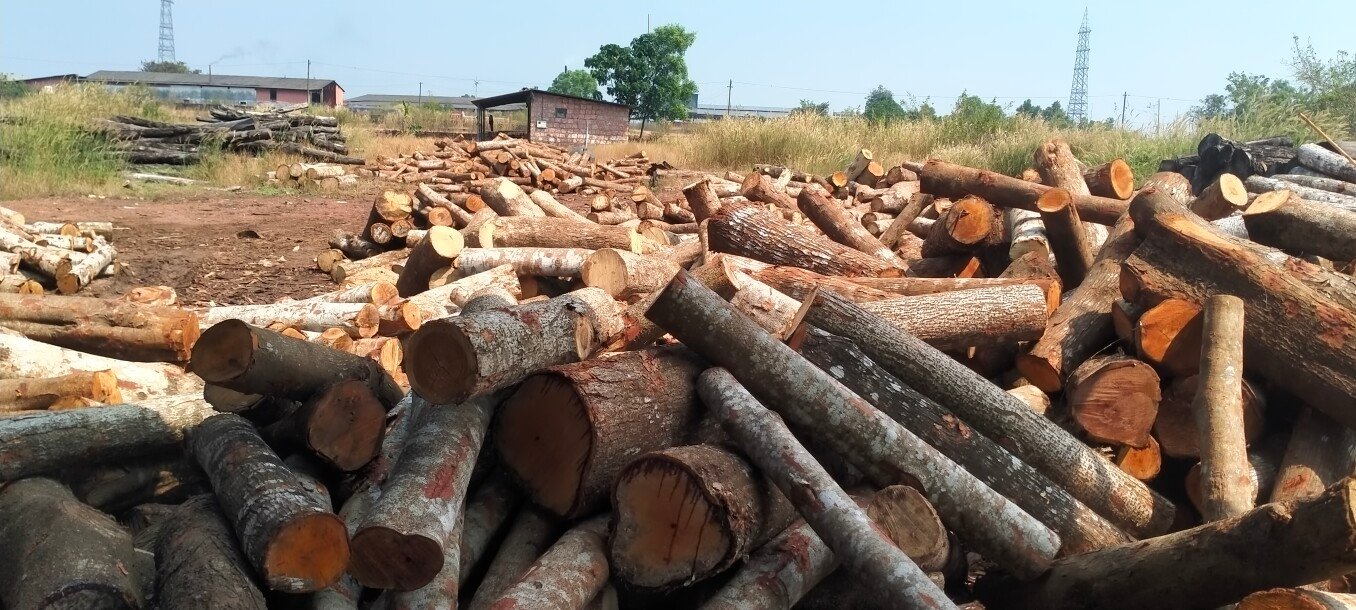 നീലേശ്വരം മര കമ്പനി വില്പനയ്ക്ക് (WOOD SAW MILL)-4